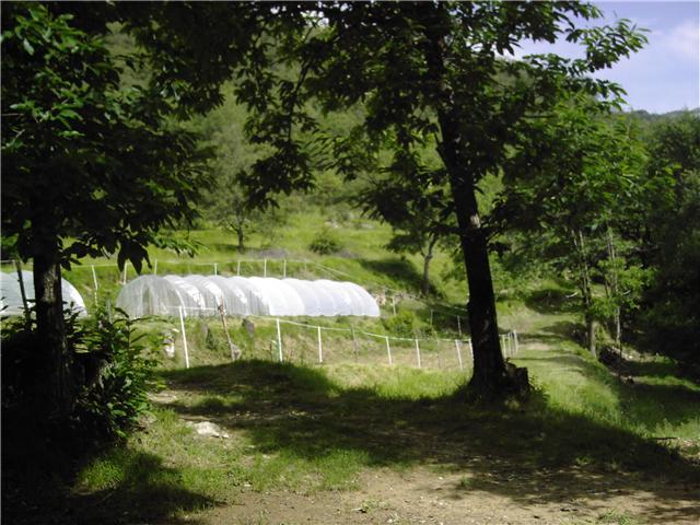 Camping á la ferme