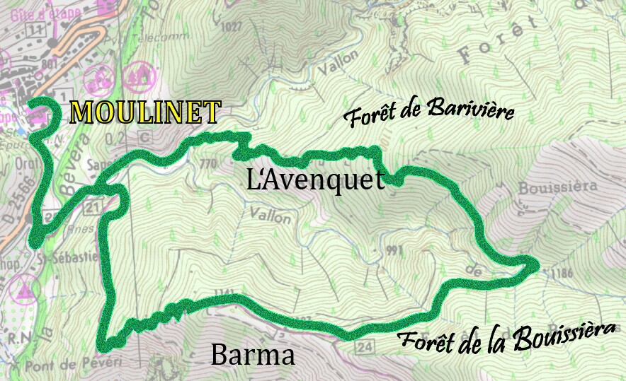 carte