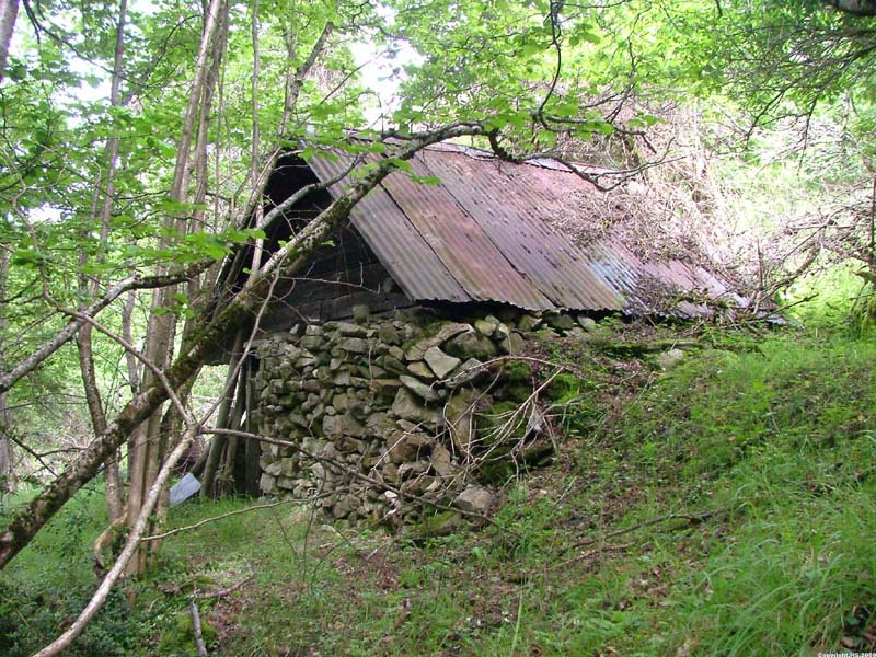 cabane.jpg